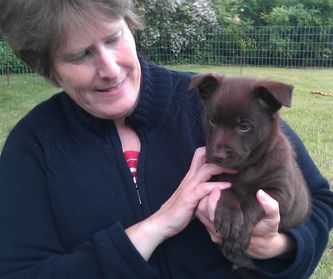Baxi 5 weeks and me